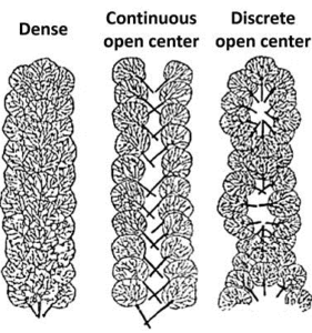 Fish Structure Density