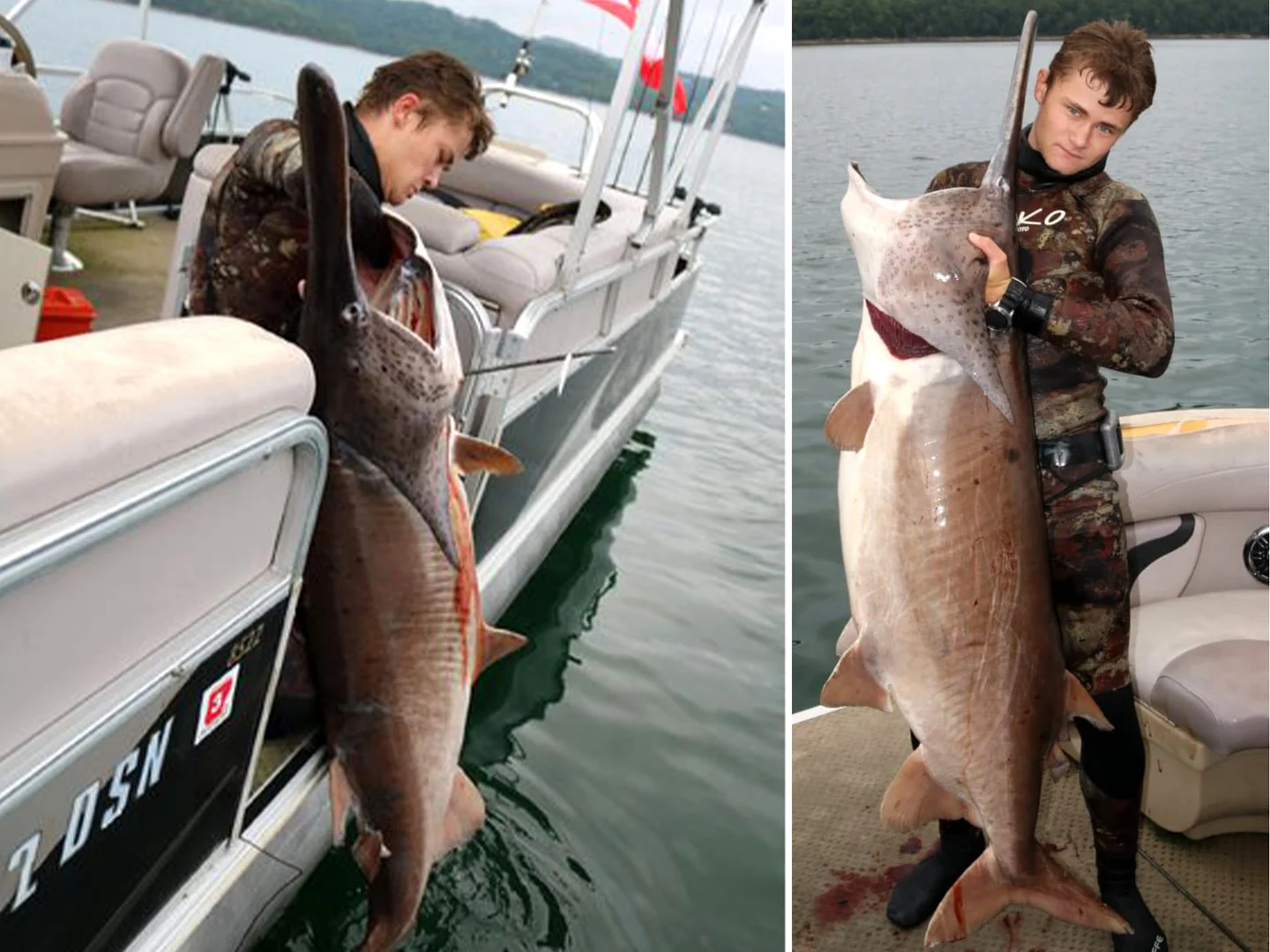 Possible World-Record Paddlefish Speared in Arkansas Lake - Outdoor ...