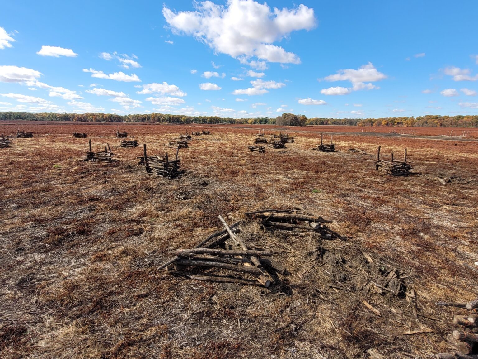Great Work in Indiana's Reservoir Habitat Enhancement Program at J. C