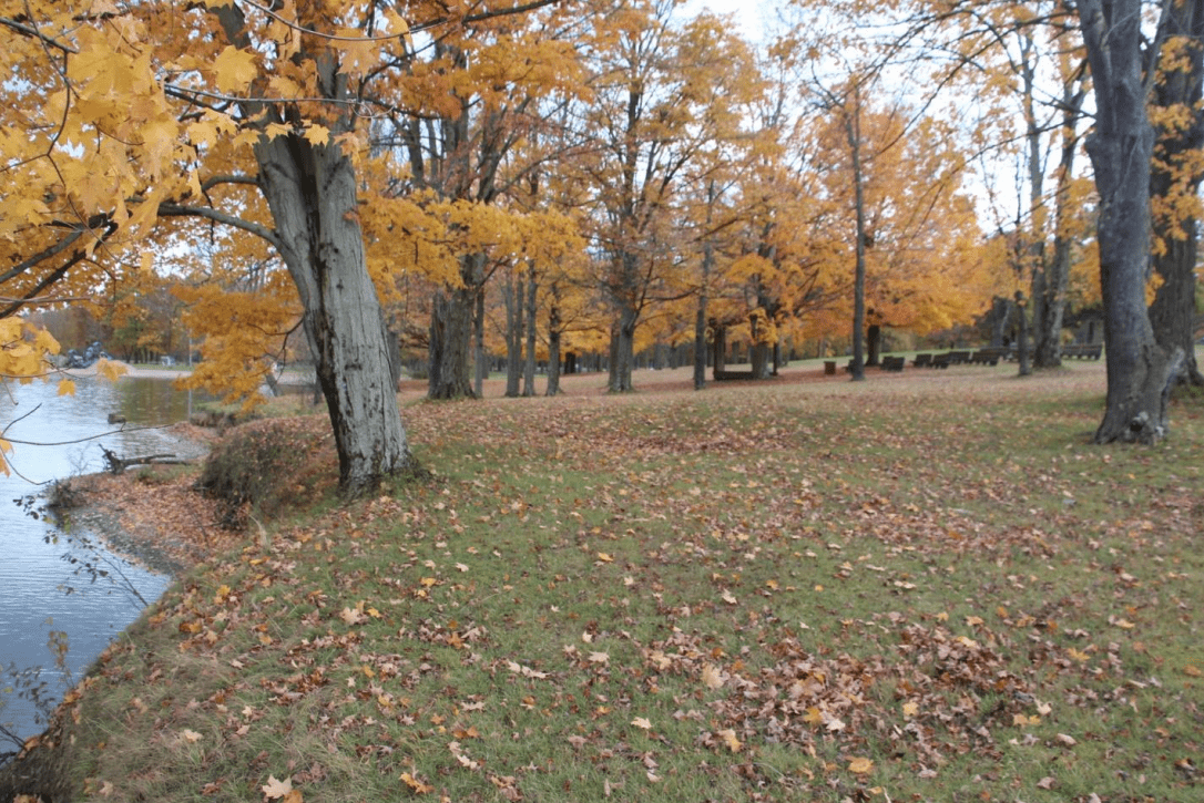 Pymatuning Shoreline Stabilization and Fish Habitat Project